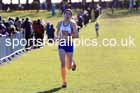 Girls under-15s 2025 Northern Cross Country Champs, Tatton Park, Knutsford, Cheshire. Photo: David T. Hewitson/Sports for All Pics